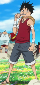 Luffy's outfit after Doflamingo's defeat.