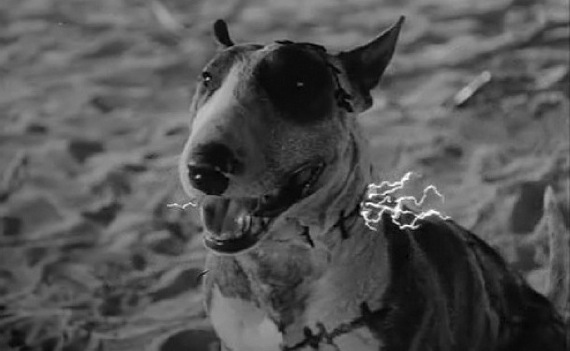 frankenweenie 2022 sparky