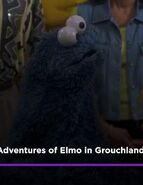 Cookie Monster from The Adventures Of Elmo In Grouchland