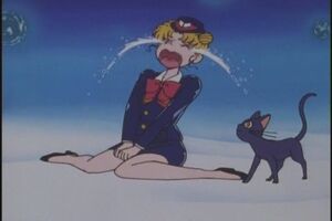 Usagi Tsukino is such a little cowardly crybaby girl.