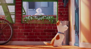 Secret-life-pets-disneyscreencaps.com-414