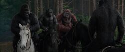 War For The Planet Of The Apes 2017 Screenshot 0826