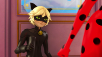 Animan - Cat Noir 08