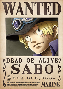 Sabo's wanted poster