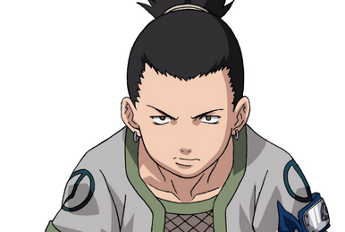 Choji Akimichi A Life Bet on Two Wings (☆6), Naruto Shippuden: Ultimate  Ninja Blazing Wikia