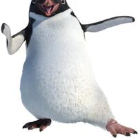 Ramon Happy Feet Heroes Wiki Fandom
