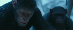 War For The Planet Of The Apes 2017 Screenshot 1756