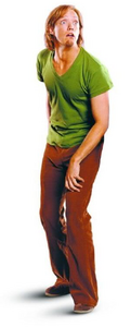 Shaggy as he appears in Scooby-Doo: The Movie