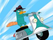 Phineas-y-ferb-perry-25654