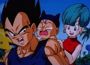 VegetaBabyTrunksBulma01