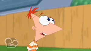 Phineas Flynn (Lost in Danville Dimension)