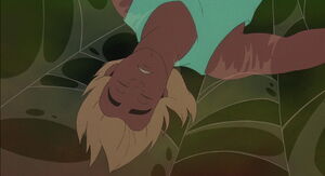 Ferngully-disneyscreencaps.com-2161