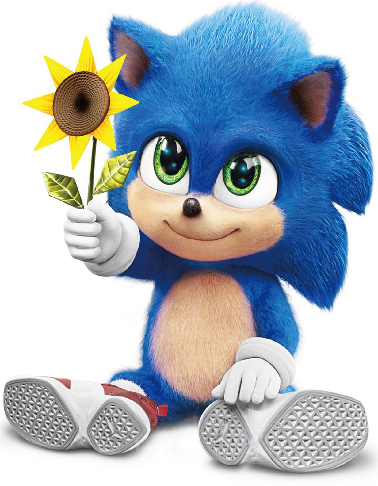 Sonic The Hedgehog Live Action Heroes Wiki Fandom Rukasu mix / subtitles i'm really don't like the old evolution drawing so i decided to redo it but this time with more sonics, origin. sonic the hedgehog live action
