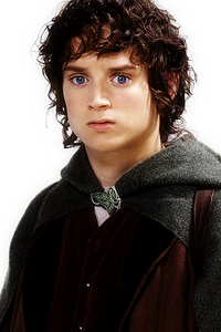 FrodoBaggins3