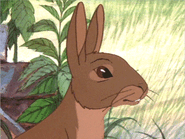 Hazel (Watership Down)