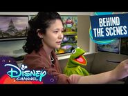 Kermit the Frog (Consultant) 🐸 - Amphibia - Disney Channel