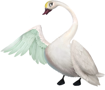 Swan