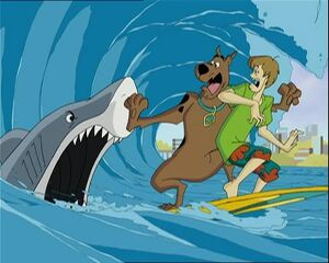 Shaggy & Scooby-Doo frightened of sharks