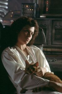 Ripley and her cat at the end of Alien (1979).