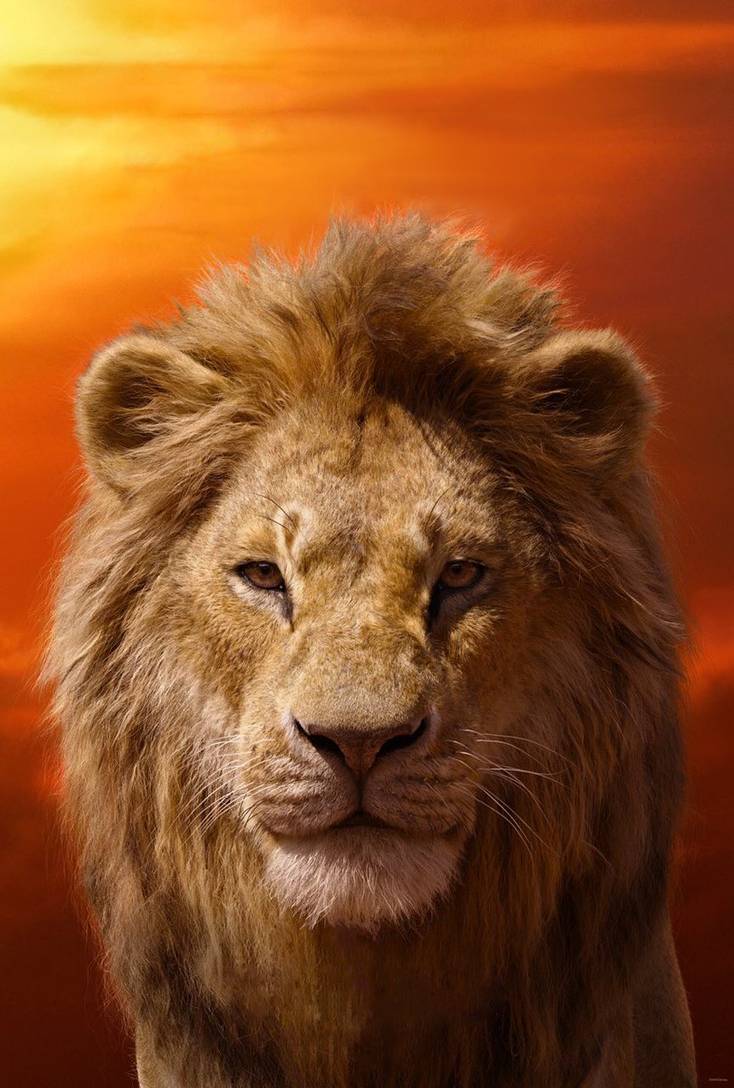 User Blog Amberfreeman2024 Pure Good Proposal Simba Lion King 2019 Heroes Wiki Fandom