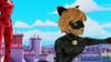 Animan - Ladybug and Cat Noir 09