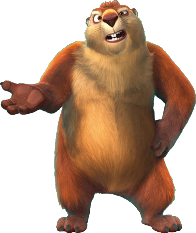 The nut top