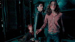 Hermione protecting Harry