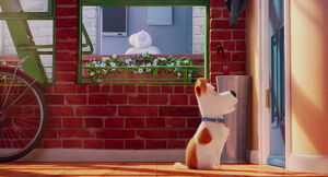 Secret-life-pets-disneyscreencaps.com-421