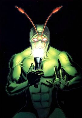Ambush Bug-008.jpg