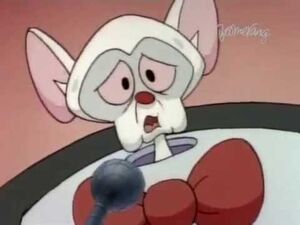 PINKY AND THE BRAIN ON BOOMERANG RUSSIA