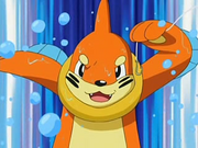 Ash Buizel DP034