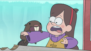 Mabel being bitten by a Beaver.