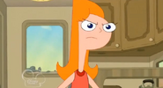 Candace molesta