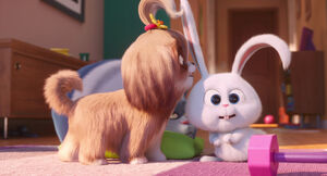 Secretlifeofpets2-animationscreencaps.com-2377