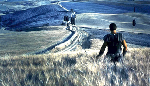 Maximus reunites with his wife and son in the afterlife.