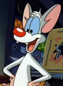 Pinky's endearing grin.