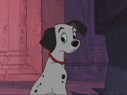 101 dalmatians lucky