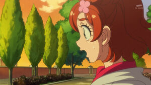 Haruka saw the flowers wither and die by the power of Close