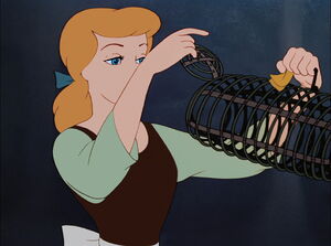 Cinderella freeing the mouse from his cage.