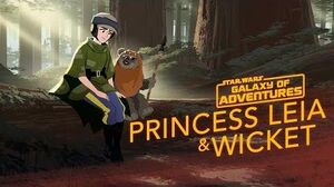 Princess Leia - An Unexpected Friend Star Wars Galaxy of Adventures