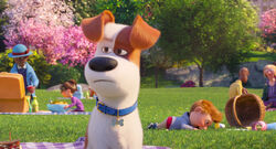 Secretlifeofpets2-animationscreencaps.com-81