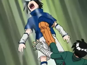 Rock Lee kicking Sasuke with Taijutsu in their fight before the Chunin Exams.