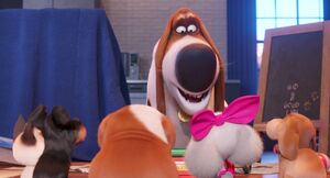 Secretlifeofpets2-animationscreencaps.com-4961