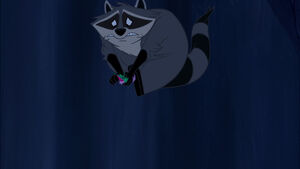 Flit being used by Meeko as a shield.