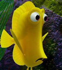 finding nemo yellow fish