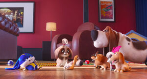 Secretlifeofpets2-animationscreencaps.com-4866