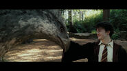 Buckbeak allowing Harry to touch him.