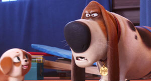 Secretlifeofpets2-animationscreencaps.com-5109