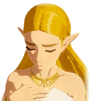 Ceremonial Zelda's Depressed Mugshot (Pre-Awakening).