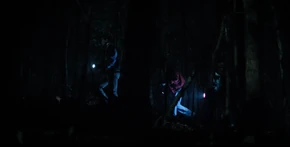 Lucas and Patrick walking through the woods.